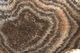 A & B Home Macias Brown Hand-Carved Zebra Onyx Bowl-1