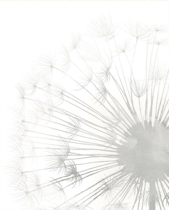 Classy Living Grace Popp Dandelion Whisper II Wall Art-1
