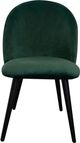 Moe's Home Collection Clarissa 2-Piece Green Dining Chair Set-1
