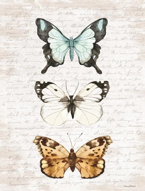 Classy Art Butterfly Trio by Lettered and Lined Wall Art-0