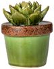 A & B Home Brown/Green 5.5" Ceramics Plant Decorative Object-0
