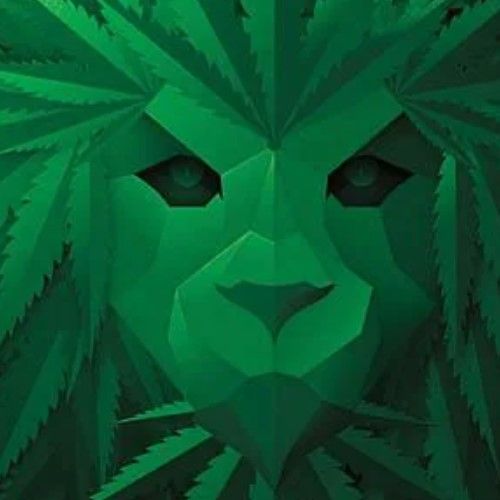 Classy Art Green Lion by JG Studios Green Wall Art-1