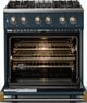 Viking® 5 Series 30" Squall Pro Style Dual Fuel (NG) Range with Brushed Brass Trim-1