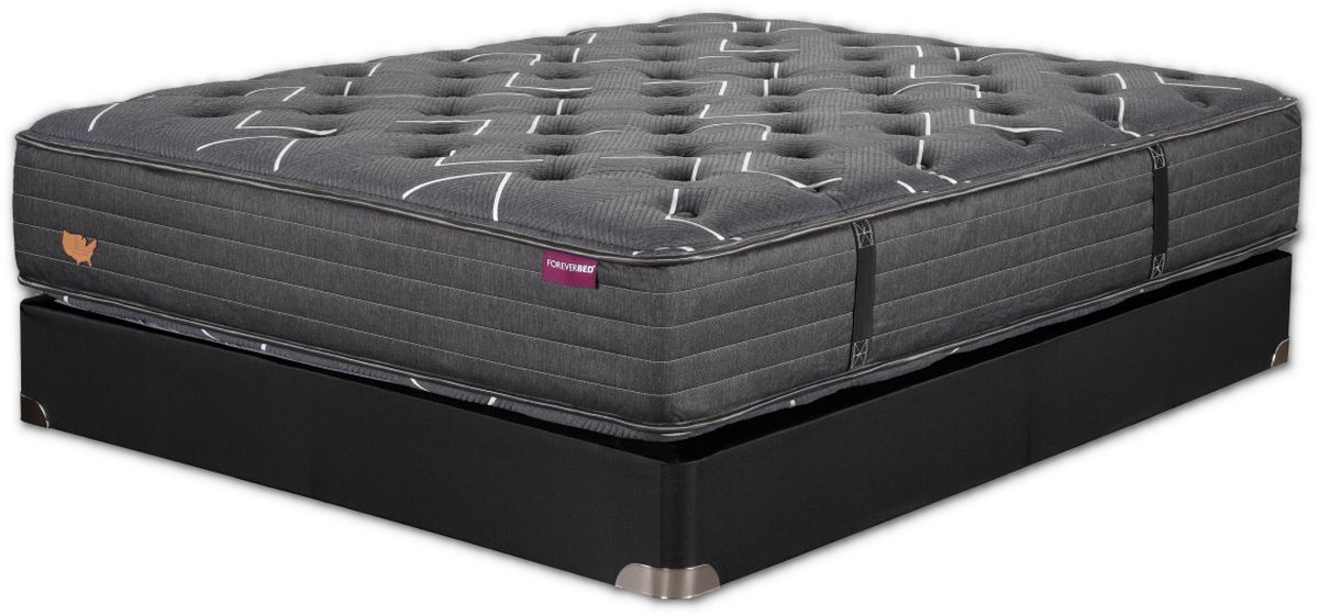 Foreverbed® HD Wrapped Coil Medium Queen Mattress