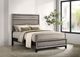 Coaster® Valen Light Taupe Youth Full Panel Bed-1