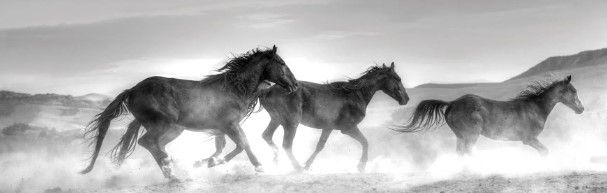 Classy Art Rolling By by JG Studios Wall Art-1