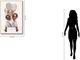 Classy Living Glamalicious Fashion Balloons Wall Art-2