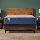 Sealy® Midnight Bliss 14.5" Wrapped Coil Soft Tight Top Queen Mattress-1