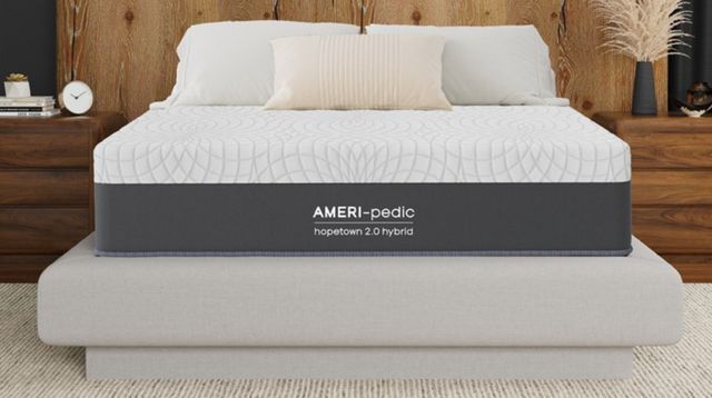 American Wholesale Furniture Hopetown 2.0 Hybrid 12" Plush Tight Top King Mattress-2