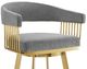 Armen Living Chelsea Anchor Gray/Gold Bar Stool-3