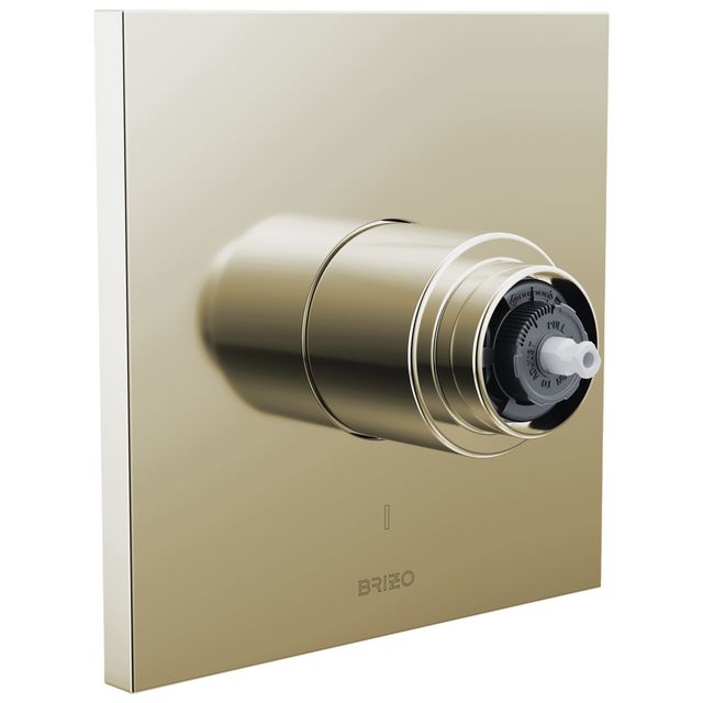 Brizo Frank Lloyd Wright® Brilliance® Polished Nickel Pressure Balance Valve Trim - Less Handle-0