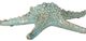 A & B Home Seafoam Green Large Starfish-1