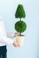 A & B Home Green Potted Cone and Ball Faux Boxwood Topiary-3