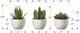 Monarch Specialties Inc. 3-Piece Green Artificial Succulent Plant Set with White Pot-2