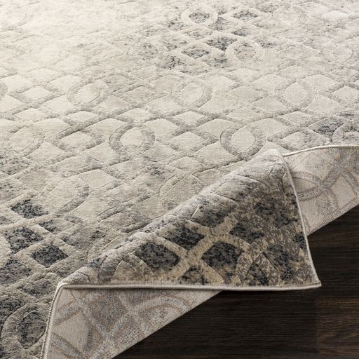 Surya Cash Gray 2'x3' Area Rug-2