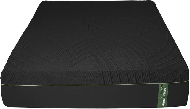 Dreamstar Bedding Genesis Collection Hevea 14" Hybrid Soft Smooth Top Twin XL Mattress-1