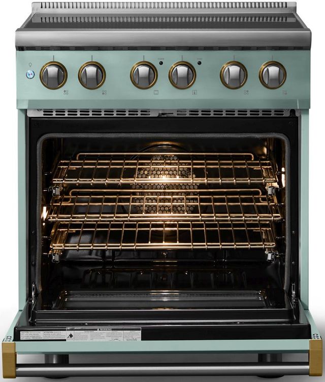 Viking® 5 Series 30" Splash Pro Style Induction Range with Brushed Brass Trim-1