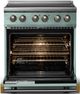 Viking® 5 Series 30" Splash Pro Style Induction Range with Brushed Brass Trim-1
