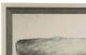Stylecraft Whale Beige/Gray Wall Art-1