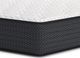 Limited Edition Hybrid Plush Tight Top Twin Mattress in a Box-1