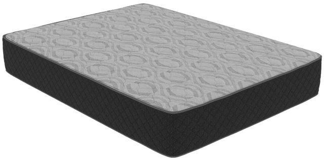 Symbol® Spring Damon 14" Wrapped Coil Firm Tight Top Twin XL Mattress-0