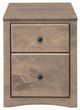 Archbold Furniture Customizable 2-Drawer Rolling File-1