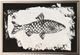 Stylecraft Fish I Wall Art-0