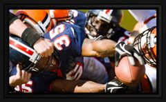 Screen Innovations Projector Screen