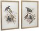 A & B Home 2-Piece Bird Framed Print Set-0