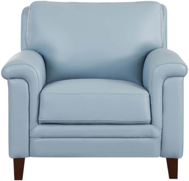 Hydeline® Westcott Spa Blue Chair-0