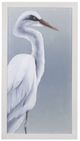 Bassett Mirror Herald in Mist ll Framed Print-0