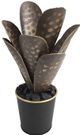 Crestview Collection Black/Green Small Oasis Metal Cactus Planter-0