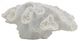 A & B Home White 3.7" Faux Coral Decorative Object-0