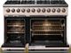 Viking® 5 Series 48" Blush Pro Style Dual Fuel (NG) Range with Brushed Brass Trim-1