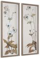 Uttermost® Garden 2-Piece Study Framed Floral Prints-4