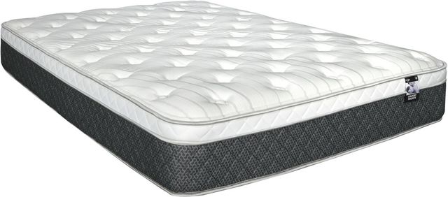 Springwall® Comfort Pockets® Hampton 12.5" Wrapped Coil Medium Plush Euro Top Queen Mattress-0