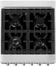 ZLINE Legacy 24" Stainless Steel Pro Style Dual Fuel Range with 4 Burner Gas Cooktop and Electric Convection Oven in Satin Stainless Steel Door-4