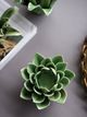 A & B Home Green Blooming Artichoke Candle Holder-4