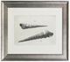 Stylecraft Auger Shell Wall Art-0