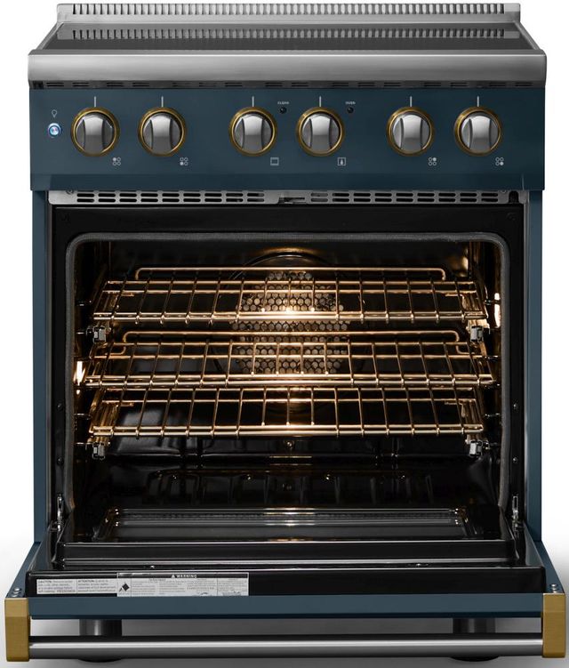 Viking® 5 Series 30" Squall Pro Style Induction Range with Brushed Brass Trim-1