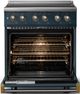 Viking® 5 Series 30" Squall Pro Style Induction Range with Brushed Brass Trim-1