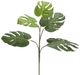 A & B Home Green Monstera Spray-0