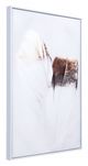 Zuo® Delicate Feather Multicolour Canvas-0