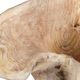 Uttermost® Teak Flow White Wash Wooden Indoor-Outdoor Bowl-5