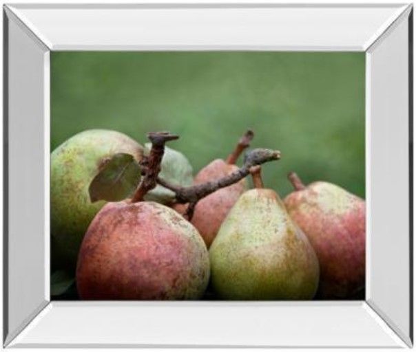 Classy Living Rachel Perry Comice Pear Il 22" Wall Art-0