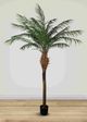Le Present Phoenix Green 96" Faux Botanical Palm-2