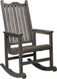 C.R. Plastic Generation Line Chocolate Porch Rocker-0