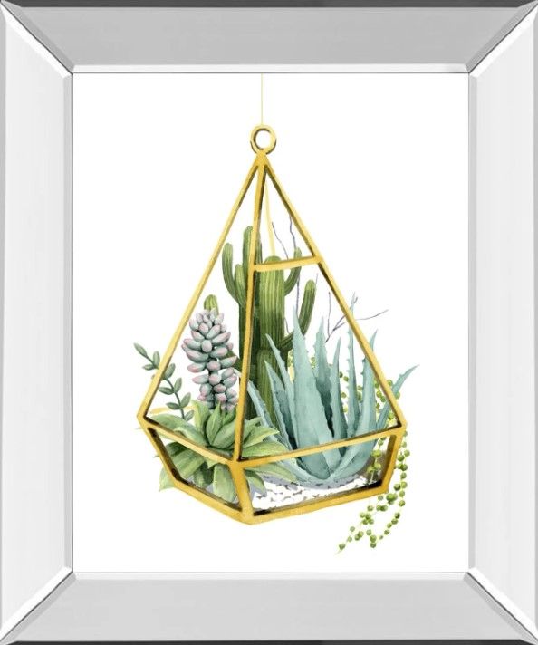 Classy Art Wild Terrarium III by Grace Popp Wall Art-0