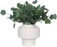 Uttermost® Essence Eucalyptus Gloss White/Green Accent and Vase-2