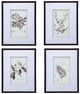 A & B Home 4-Piece Black/White Botanical Fake Pencil Art Set-1
